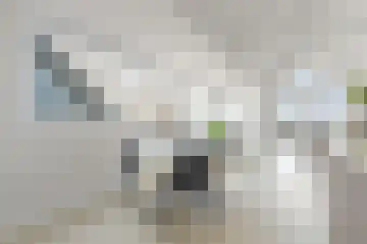 Bospolderplein 6 A Rotterdam thumbnail 12