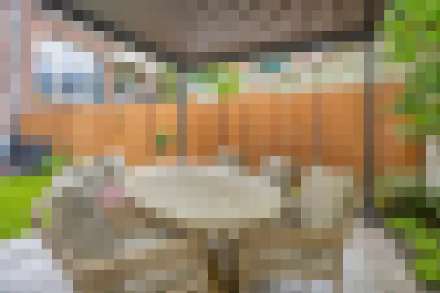 Bospolderplein 6 A Rotterdam thumbnail 53