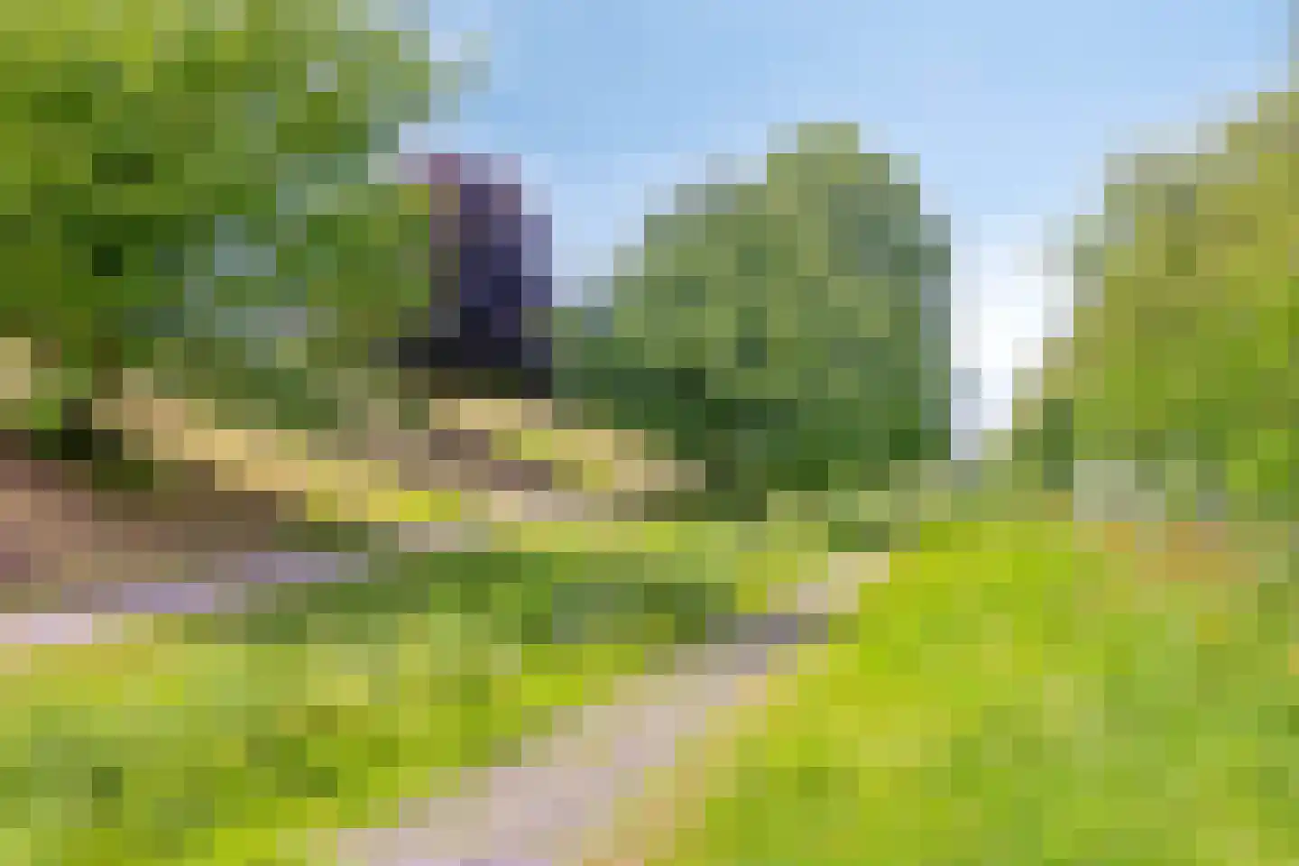 Bospolderplein 6 A Rotterdam thumbnail 58
