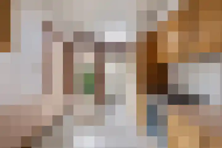 Bospolderstraat 9 a Nieuwerkerk aan den IJssel thumbnail 10