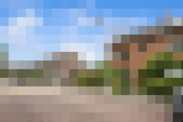 Bospolderstraat 9 a Nieuwerkerk aan den IJssel thumbnail 32