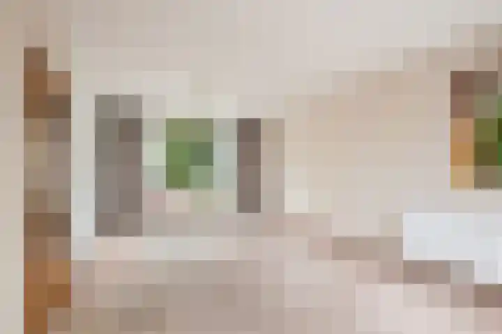 Bospolderstraat 9 a Nieuwerkerk aan den IJssel thumbnail 7