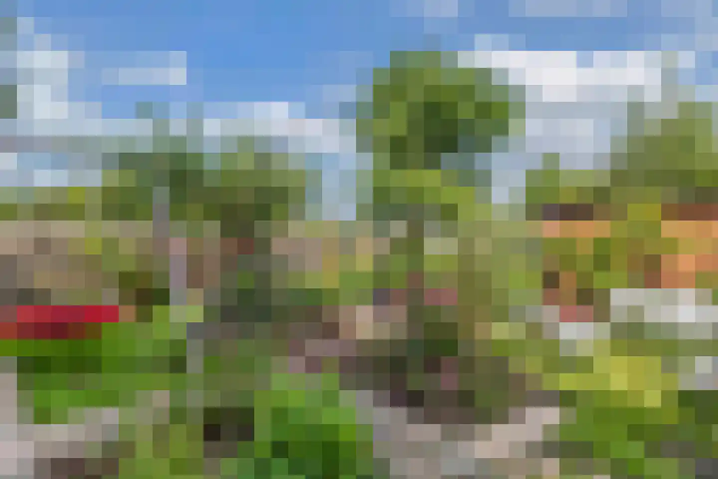 Bosrand 1 Ens thumbnail 42