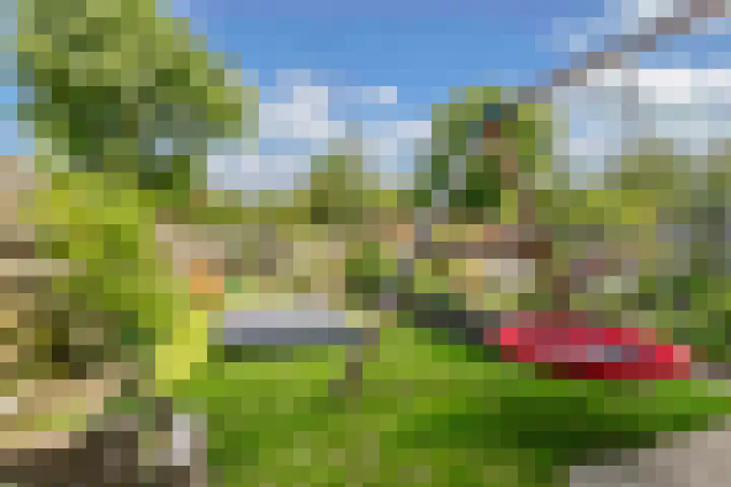 Bosrand 1 Ens thumbnail 43