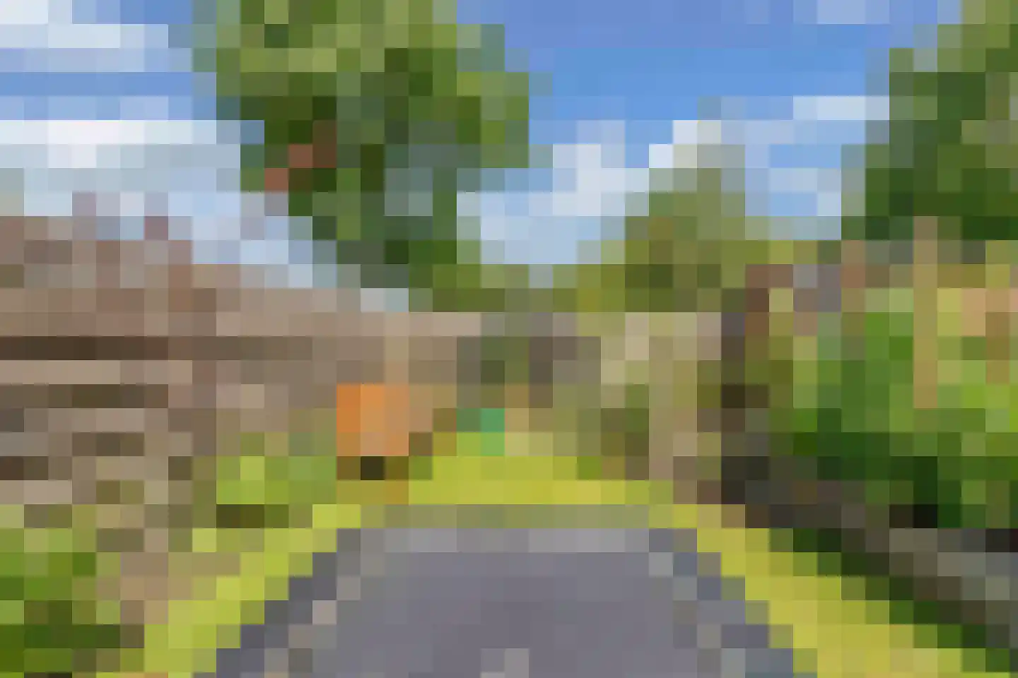 Bosrand 1 Ens thumbnail 44