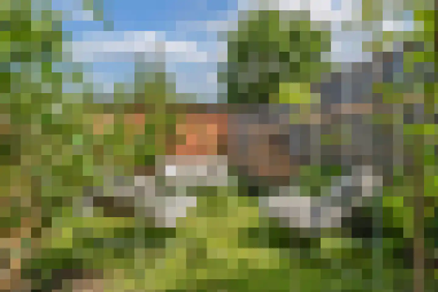 Bosrand 1 Ens thumbnail 45