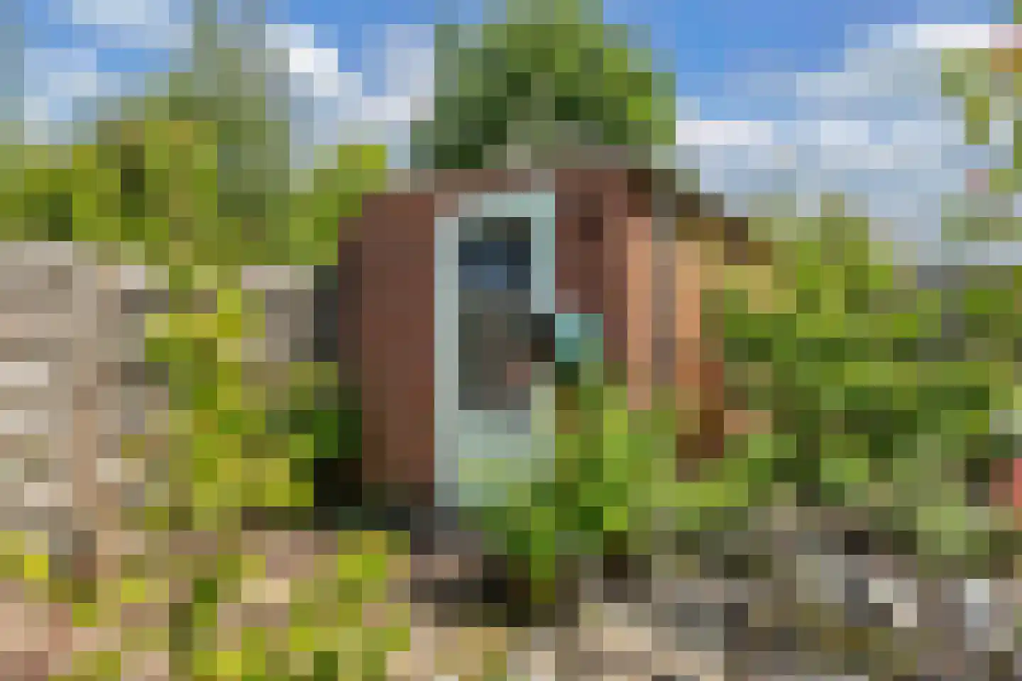 Bosrand 1 Ens thumbnail 47
