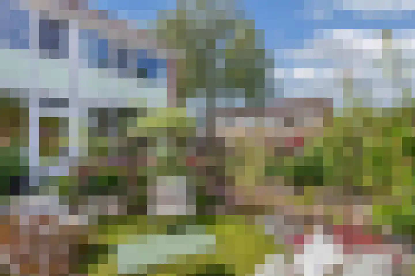 Bosrand 1 Ens thumbnail 48