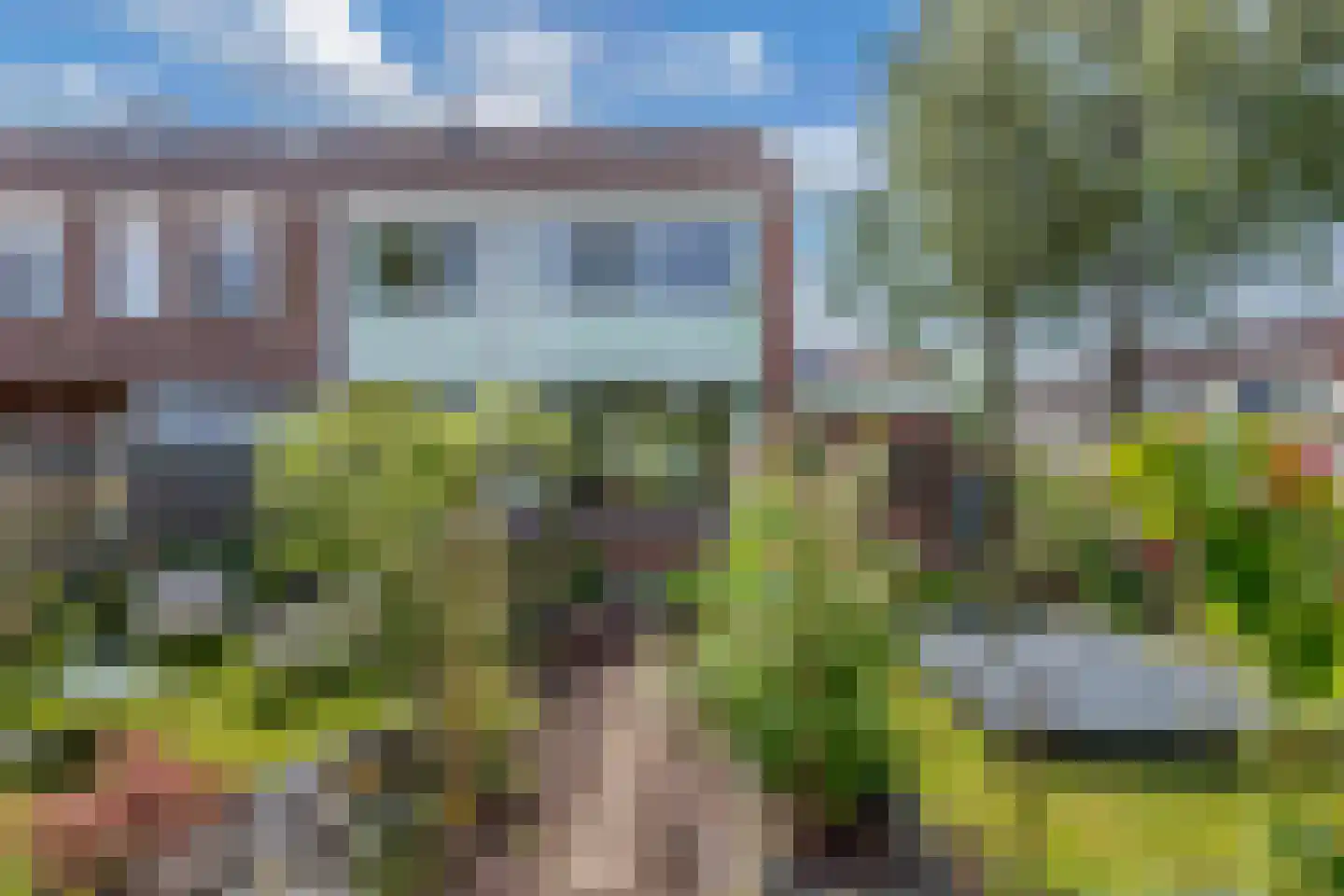 Bosrand 1 Ens thumbnail 50