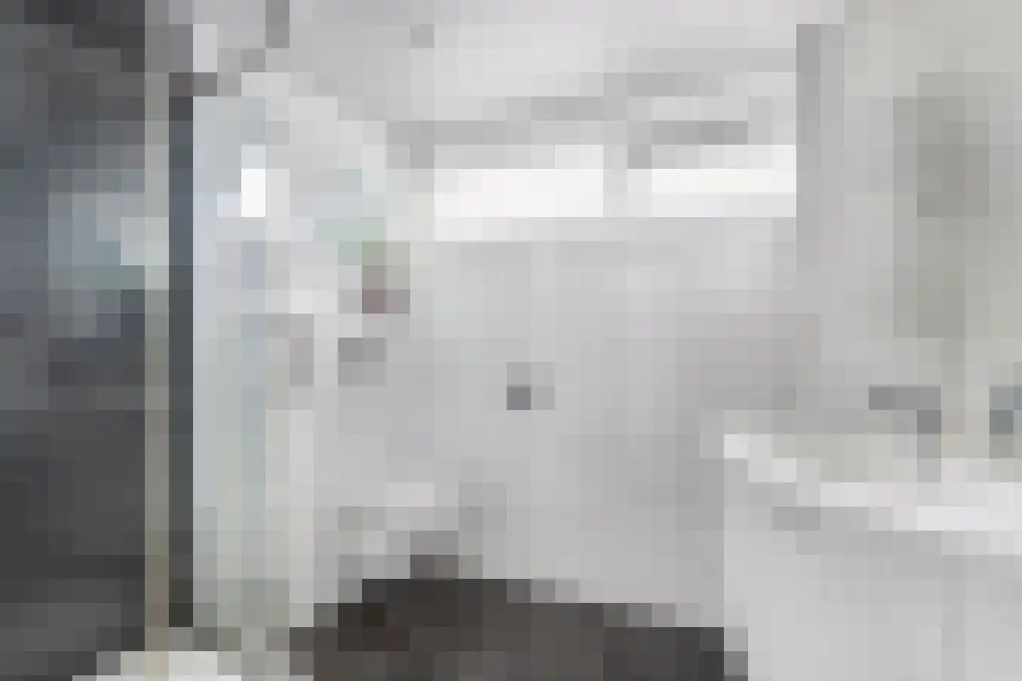 Bosrand 1 Ens thumbnail 7