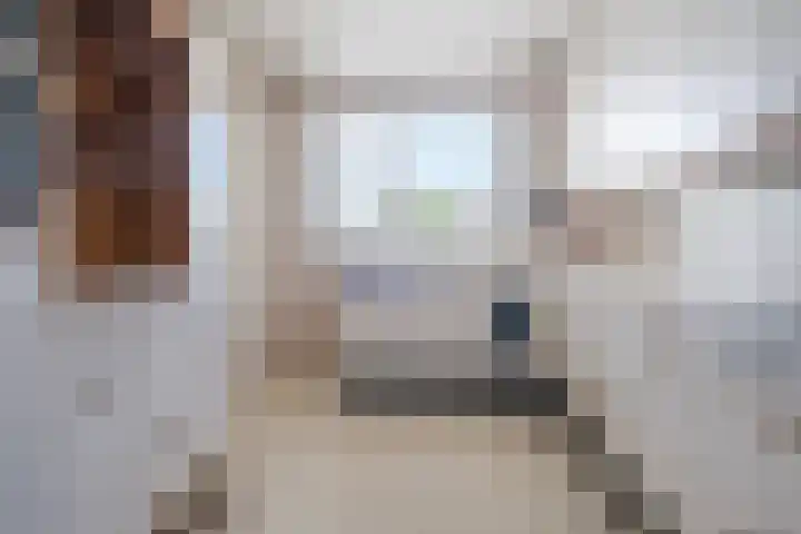 Bosrand 100 Geldrop thumbnail 12