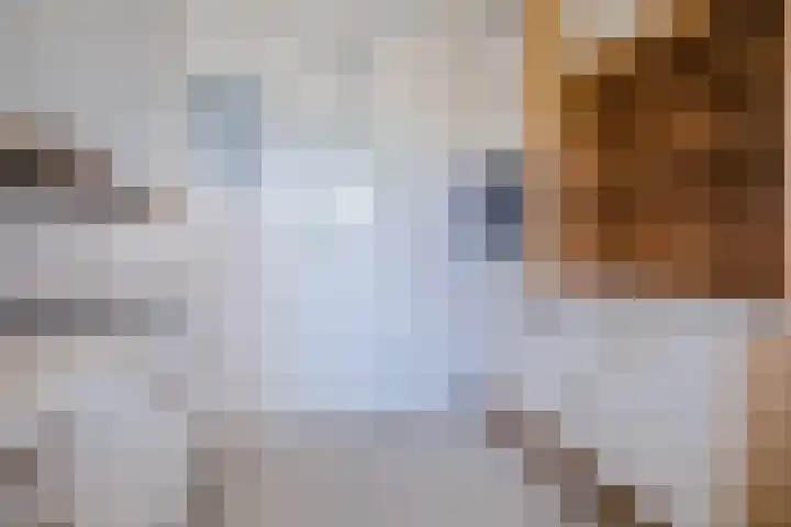 Bosrand 100 Geldrop thumbnail 13