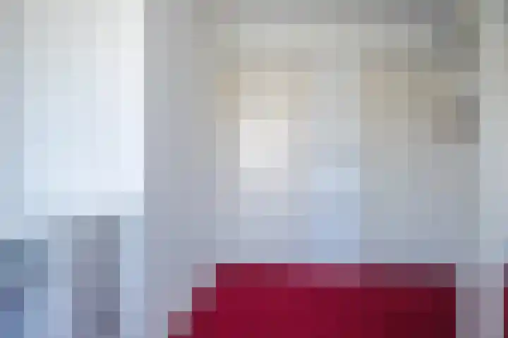 Bosrand 100 Geldrop thumbnail 23