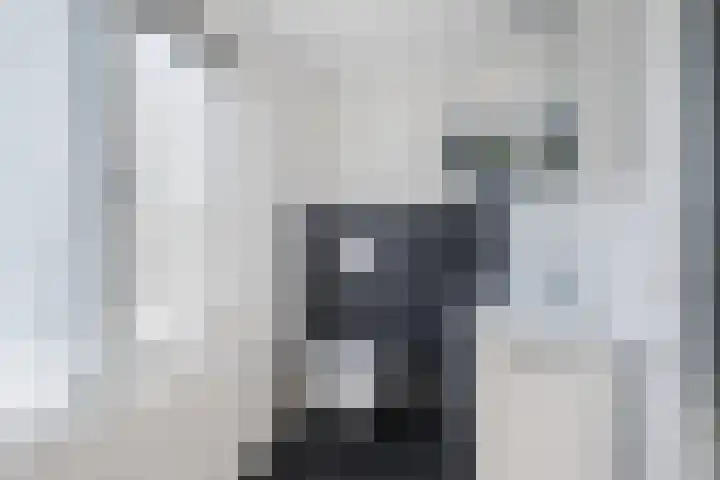 Bosrand 100 Geldrop thumbnail 26