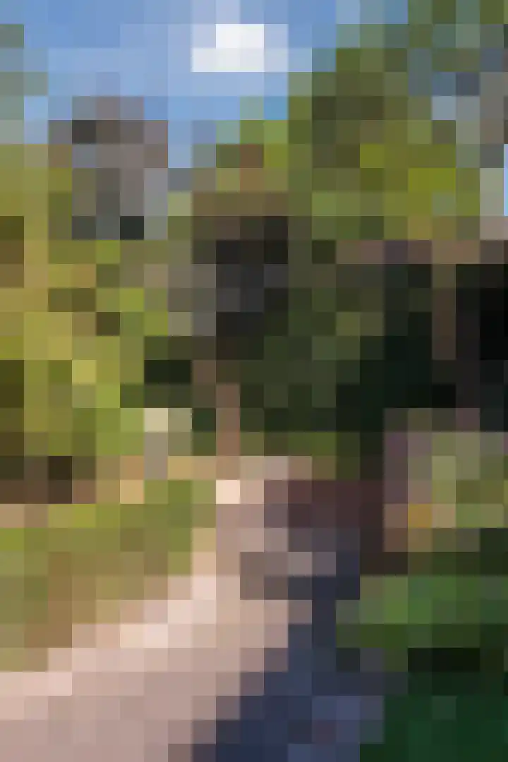 Bosrand 100 Geldrop thumbnail 34