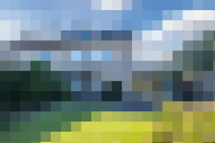 Bosrand 100 Geldrop thumbnail 35