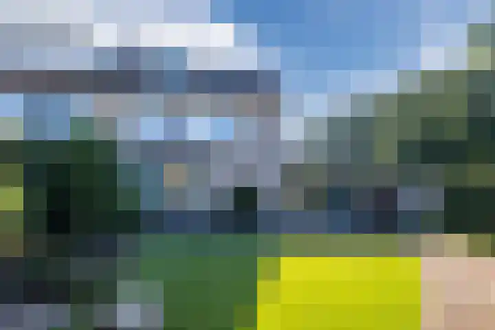 Bosrand 100 Geldrop thumbnail 36