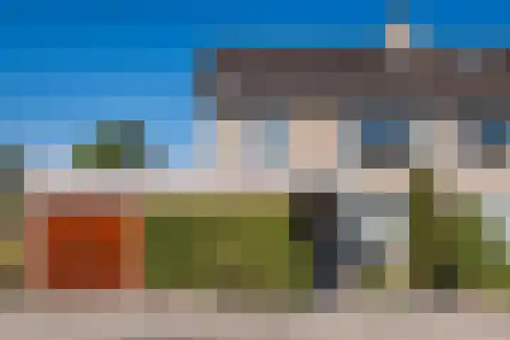 Bosrand 100 Geldrop thumbnail 4