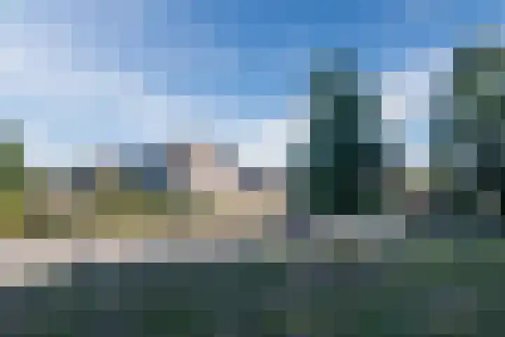Bosrand 100 Geldrop thumbnail 42