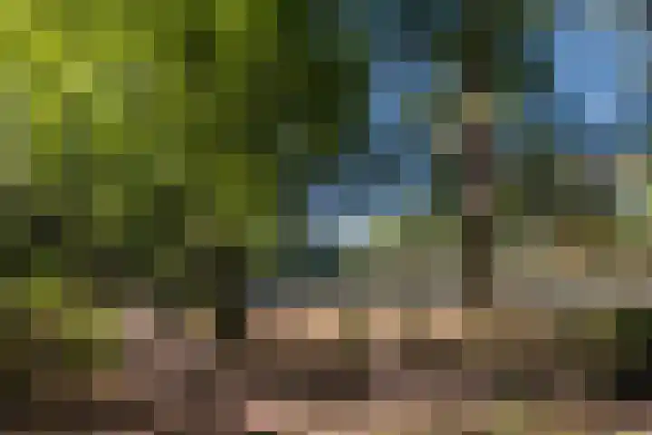 Bosrand 100 Geldrop thumbnail 43