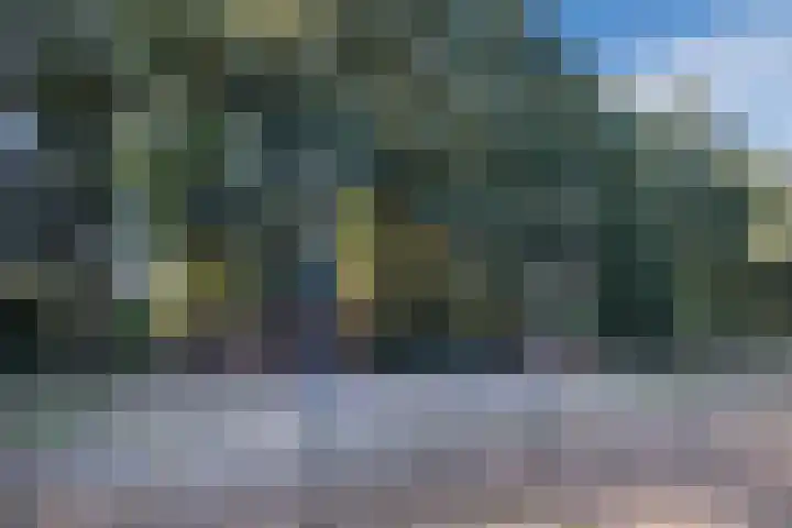Bosrand 100 Geldrop thumbnail 44