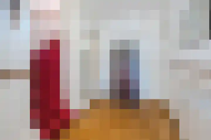 Bosrand 100 Geldrop thumbnail 6