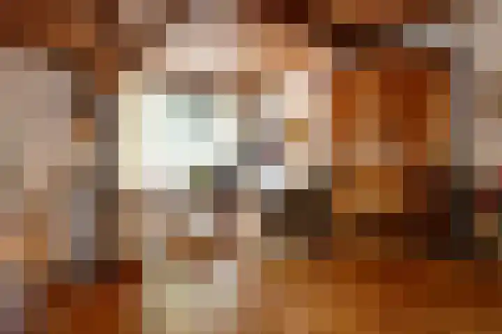 Bosrand 107 Elspeet thumbnail 19