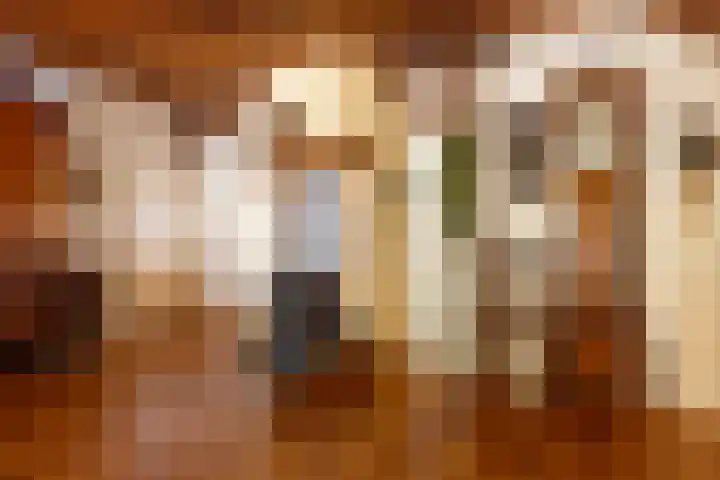 Bosrand 107 Elspeet thumbnail 21