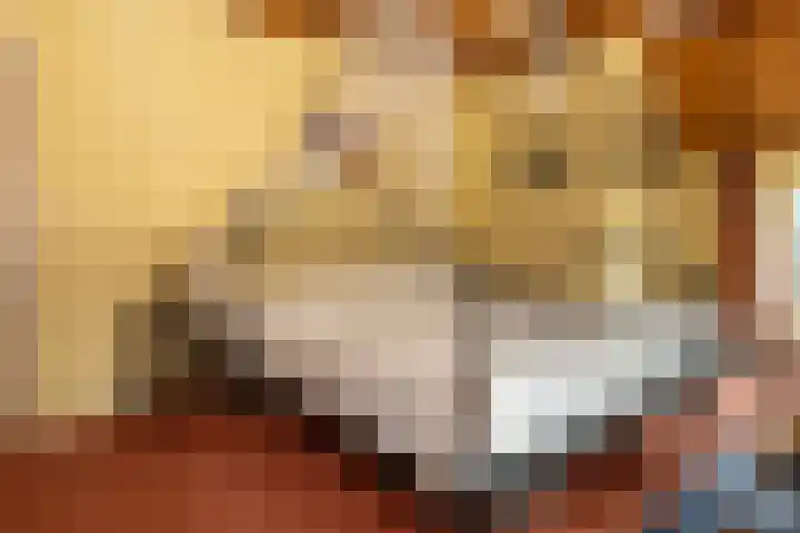 Bosrand 107 Elspeet thumbnail 32
