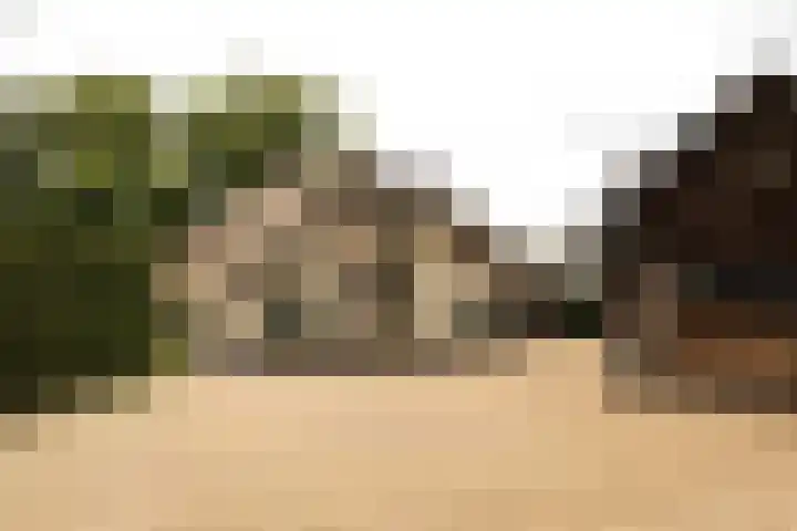 Bosrand 107 Elspeet thumbnail 43