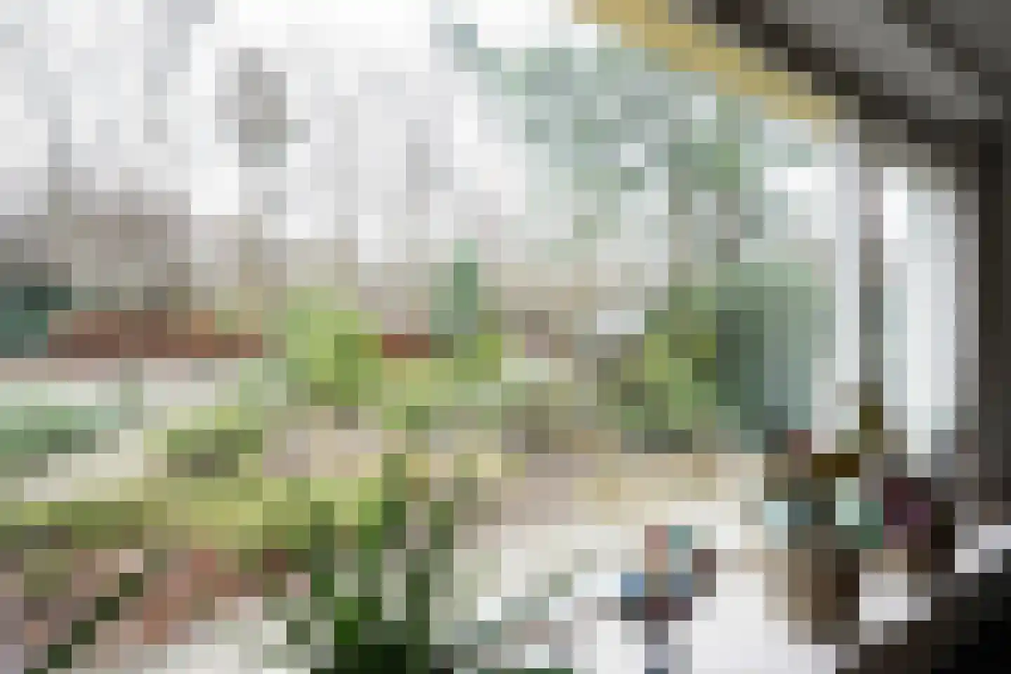 Bosrand 108 Putten thumbnail 14