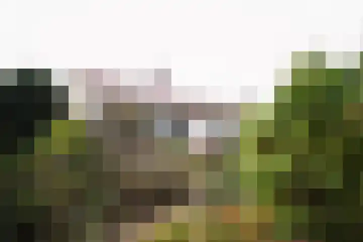 Bosrand 108 Putten foto 2