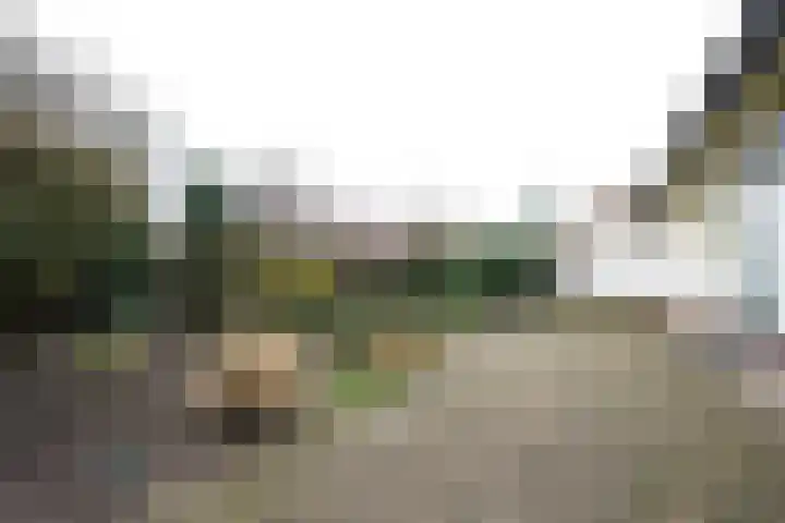 Bosrand 108 Putten thumbnail 36