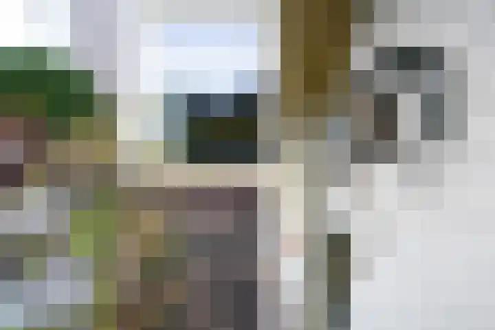 Bosrand 108 Putten thumbnail 37