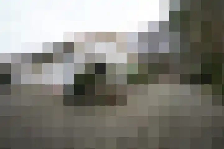 Bosrand 108 Putten thumbnail 40
