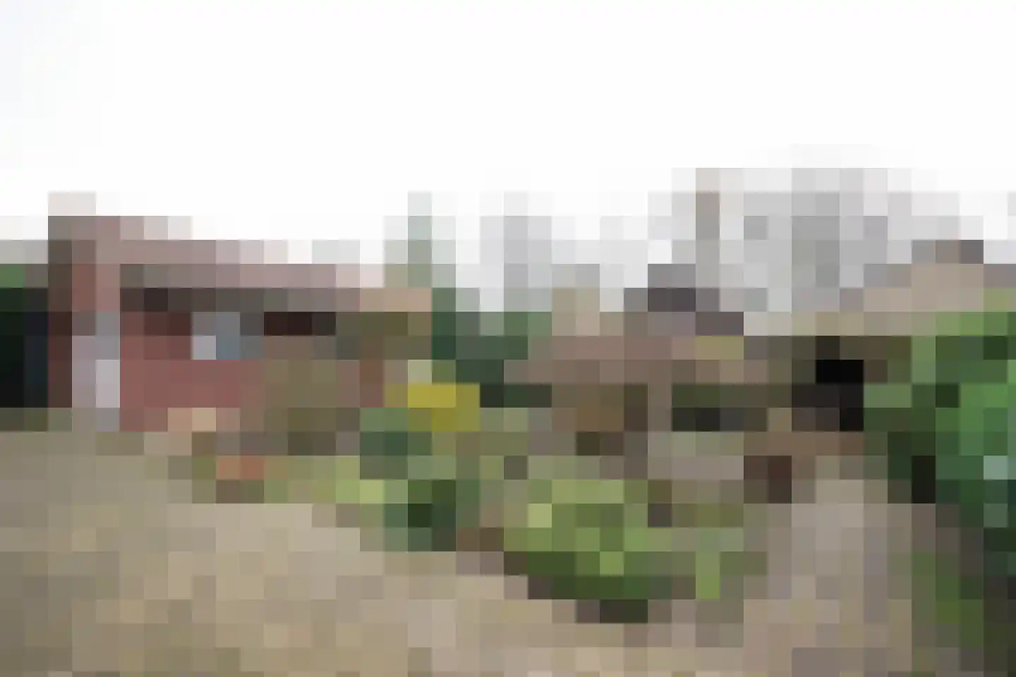 Bosrand 108 Putten thumbnail 40