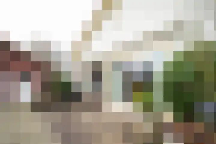 Bosrand 108 Putten thumbnail 42