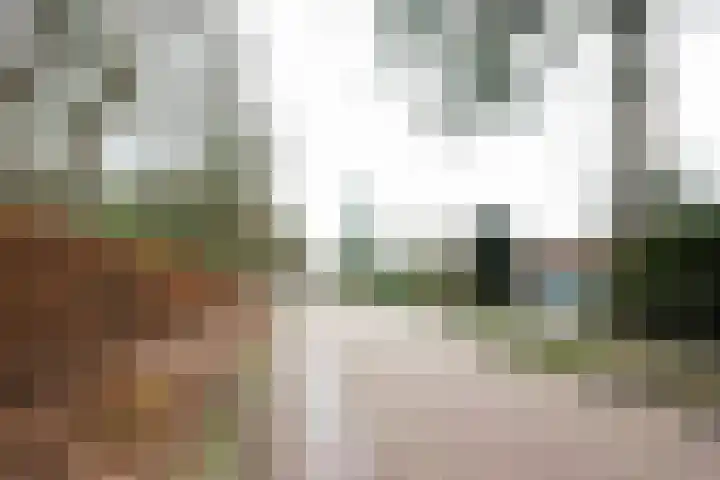 Bosrand 108 Putten thumbnail 43
