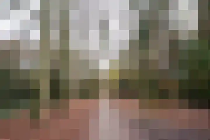 Bosrand 108 Putten thumbnail 45