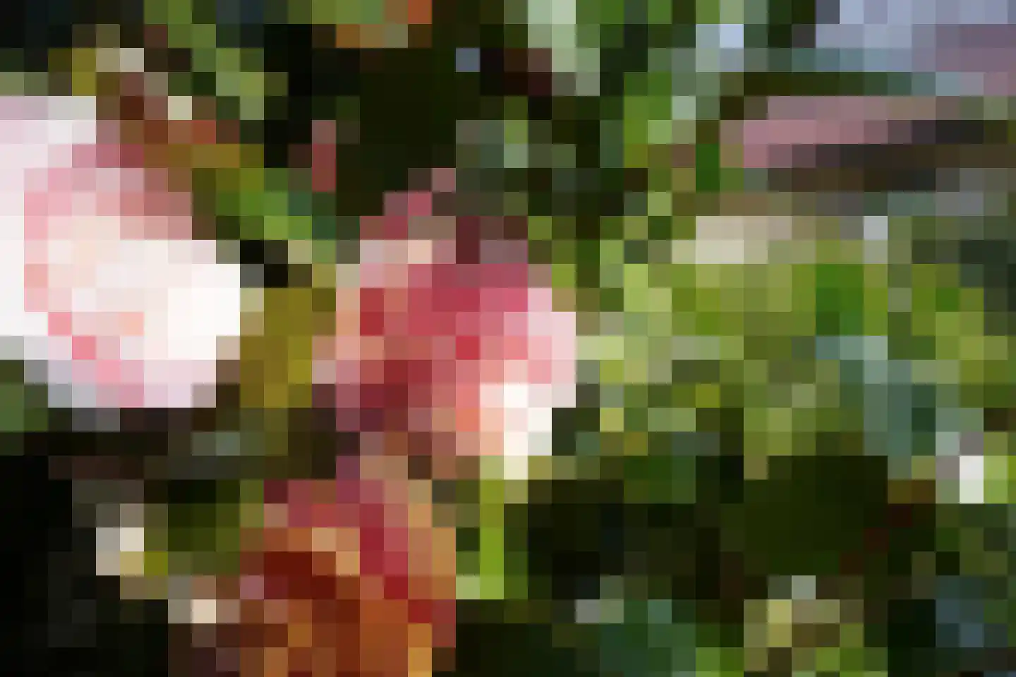 Bosrand 108 Putten thumbnail 45