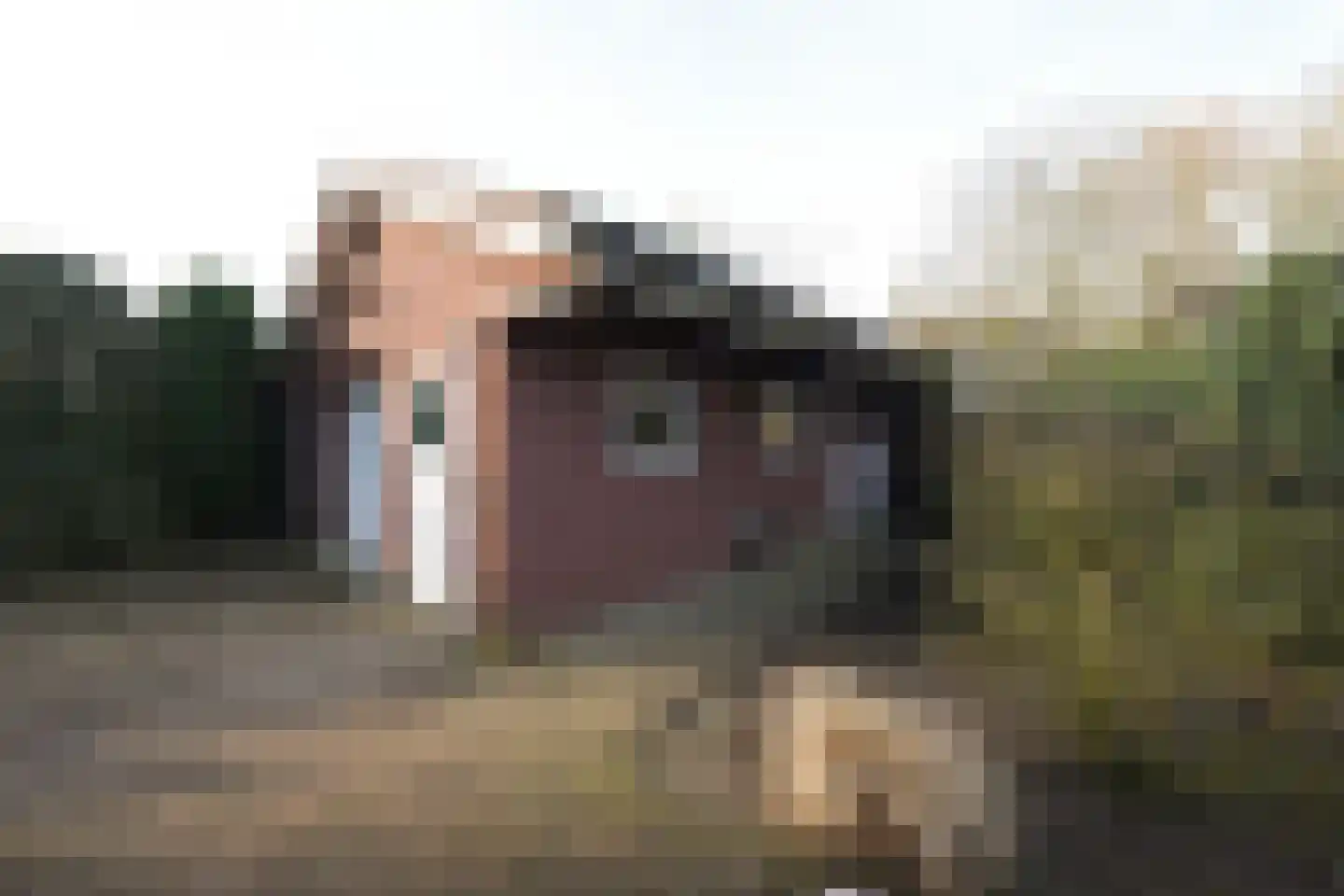Bosrand 108 Putten thumbnail 46