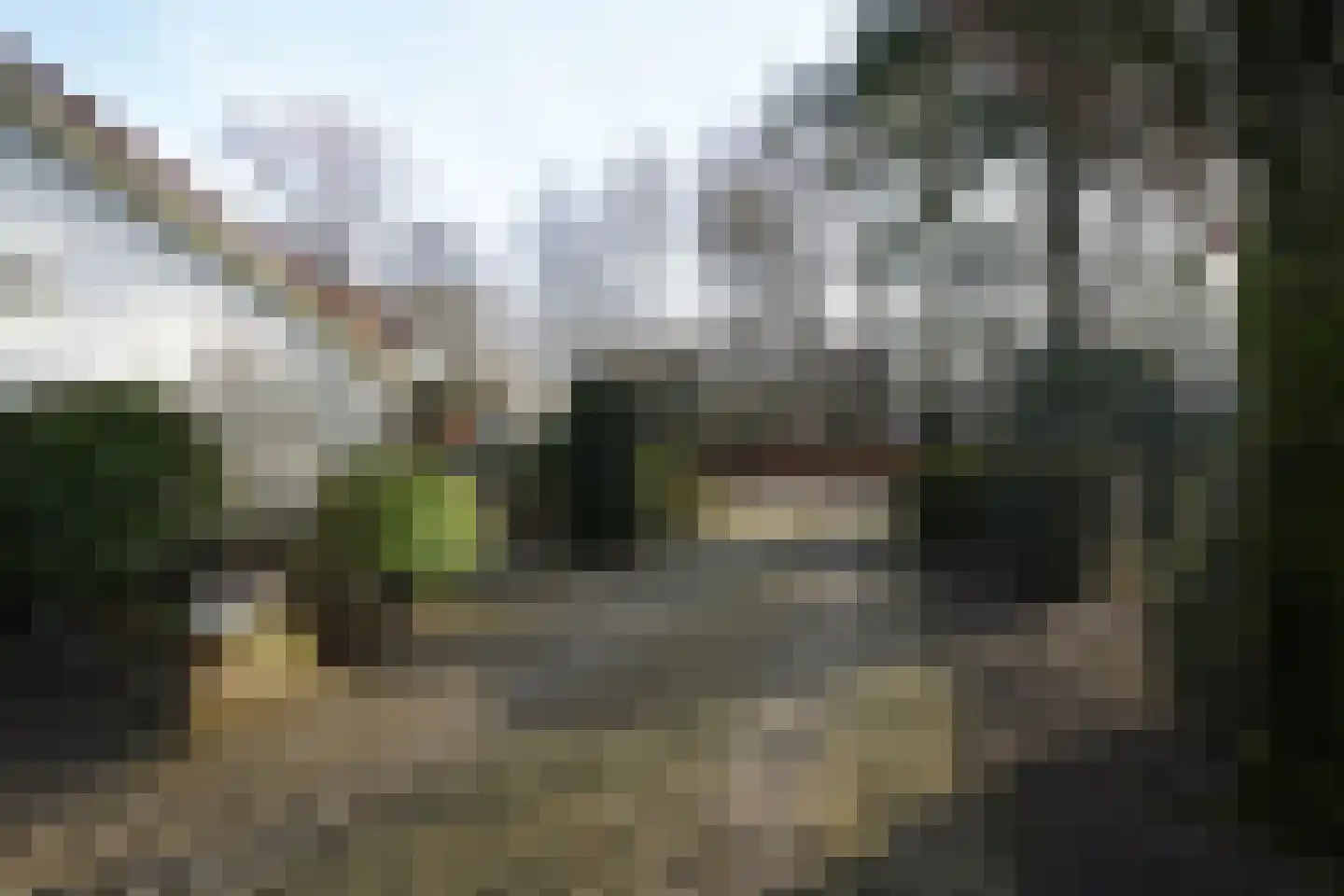 Bosrand 108 Putten thumbnail 50