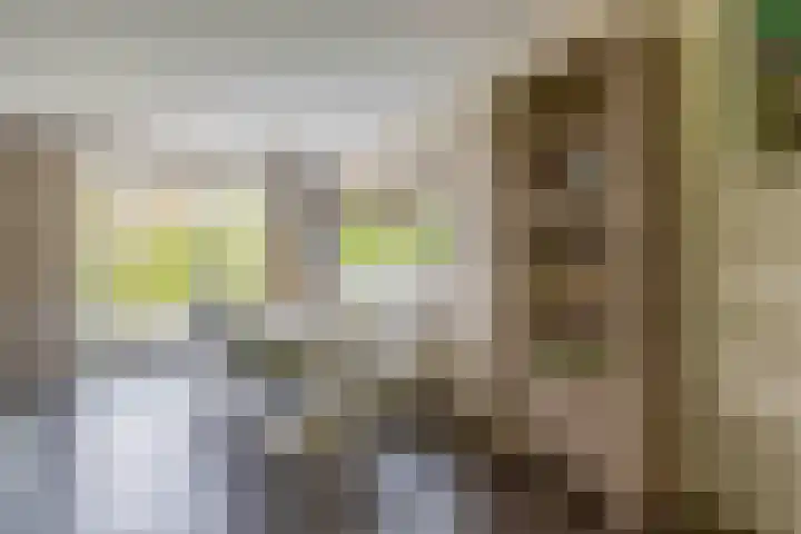 Bosrand 108 Putten thumbnail 6