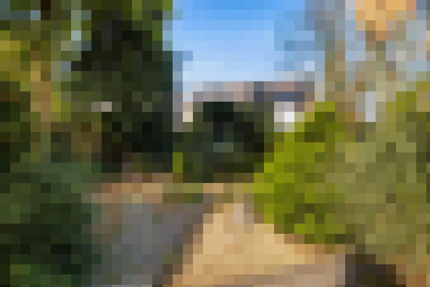 Bosrand 11 Ermelo thumbnail 45