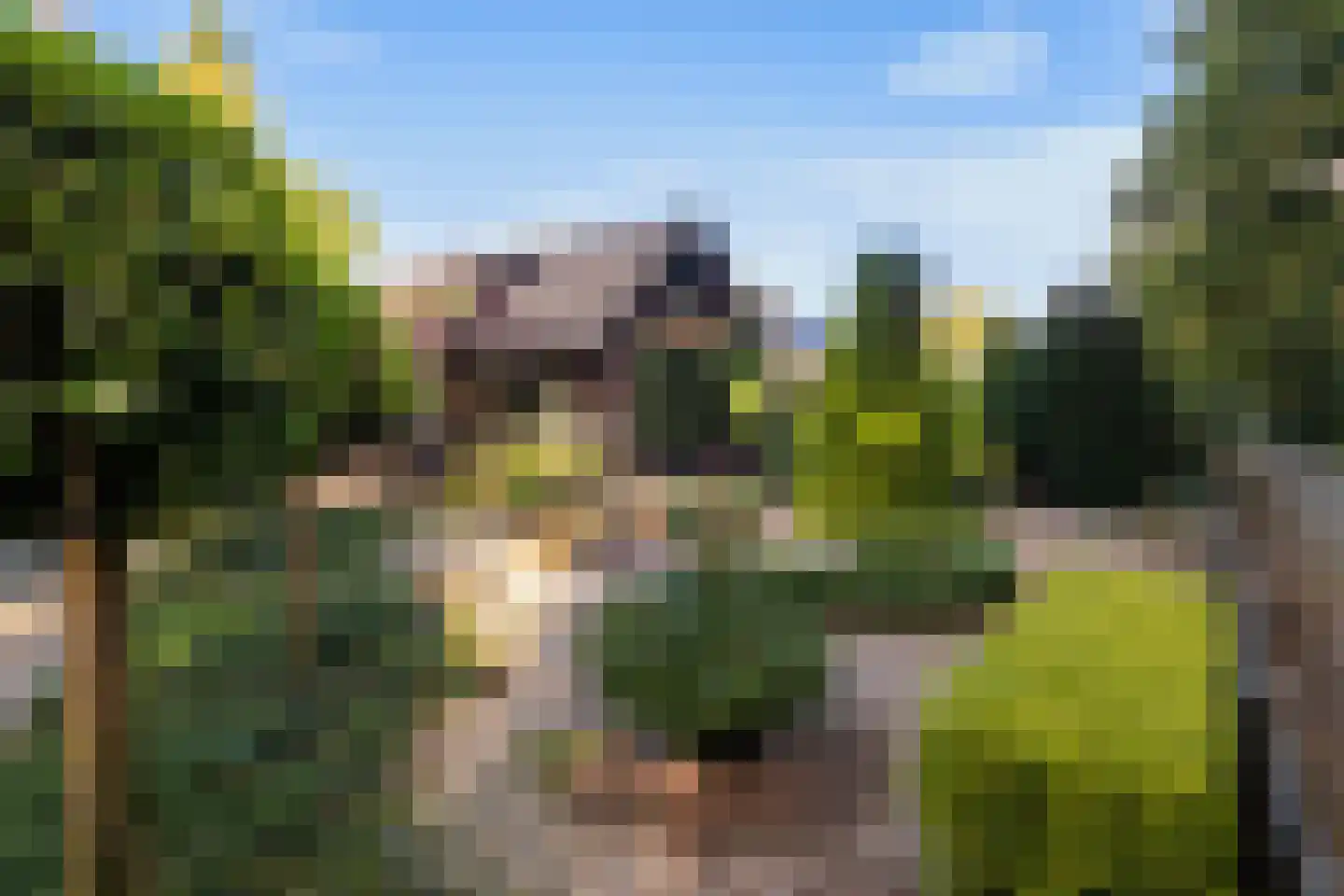 Bosrand 11 Ermelo thumbnail 5