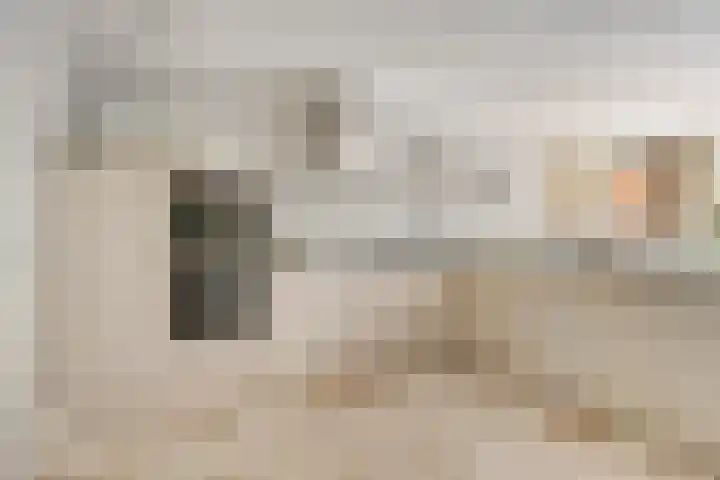 Bosrand 12 Schiedam thumbnail 12