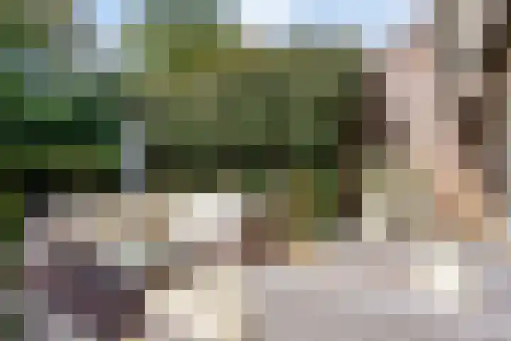 Bosrand 12 Schiedam thumbnail 30