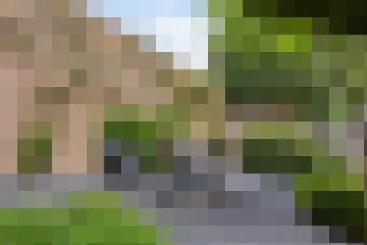 Bosrand 12 Schiedam thumbnail 34