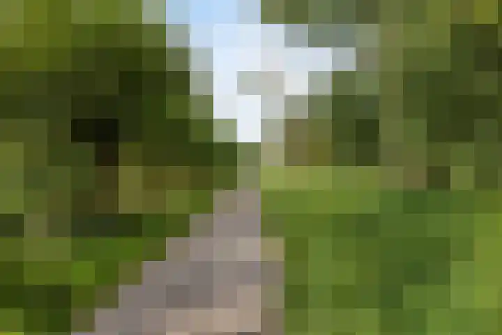 Bosrand 12 Schiedam thumbnail 37