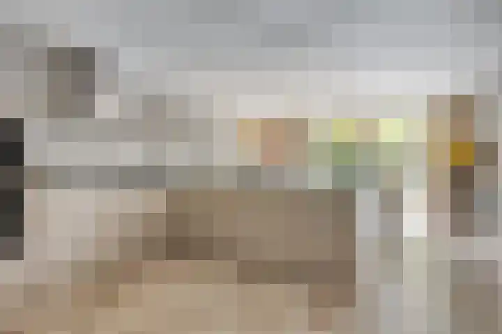 Bosrand 12 Schiedam thumbnail 4